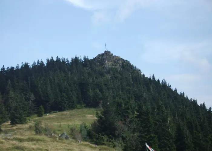 Stilla Traurig Arrach
