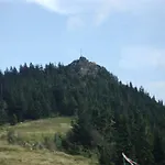 Stilla Traurig Arrach