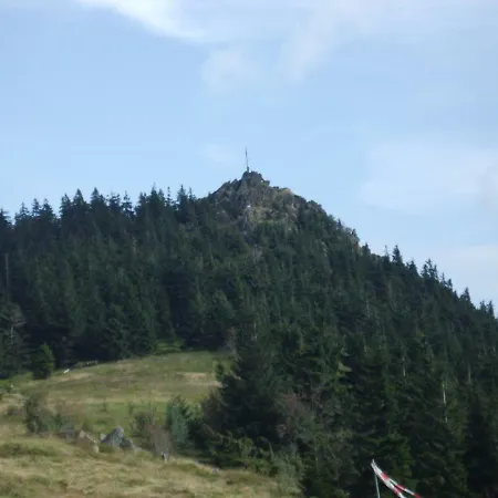 Stilla Traurig Arrach